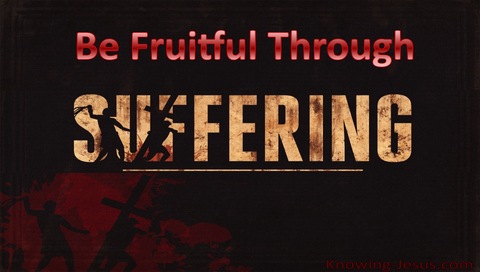 Be Fruitful Through Suffering (devotional)